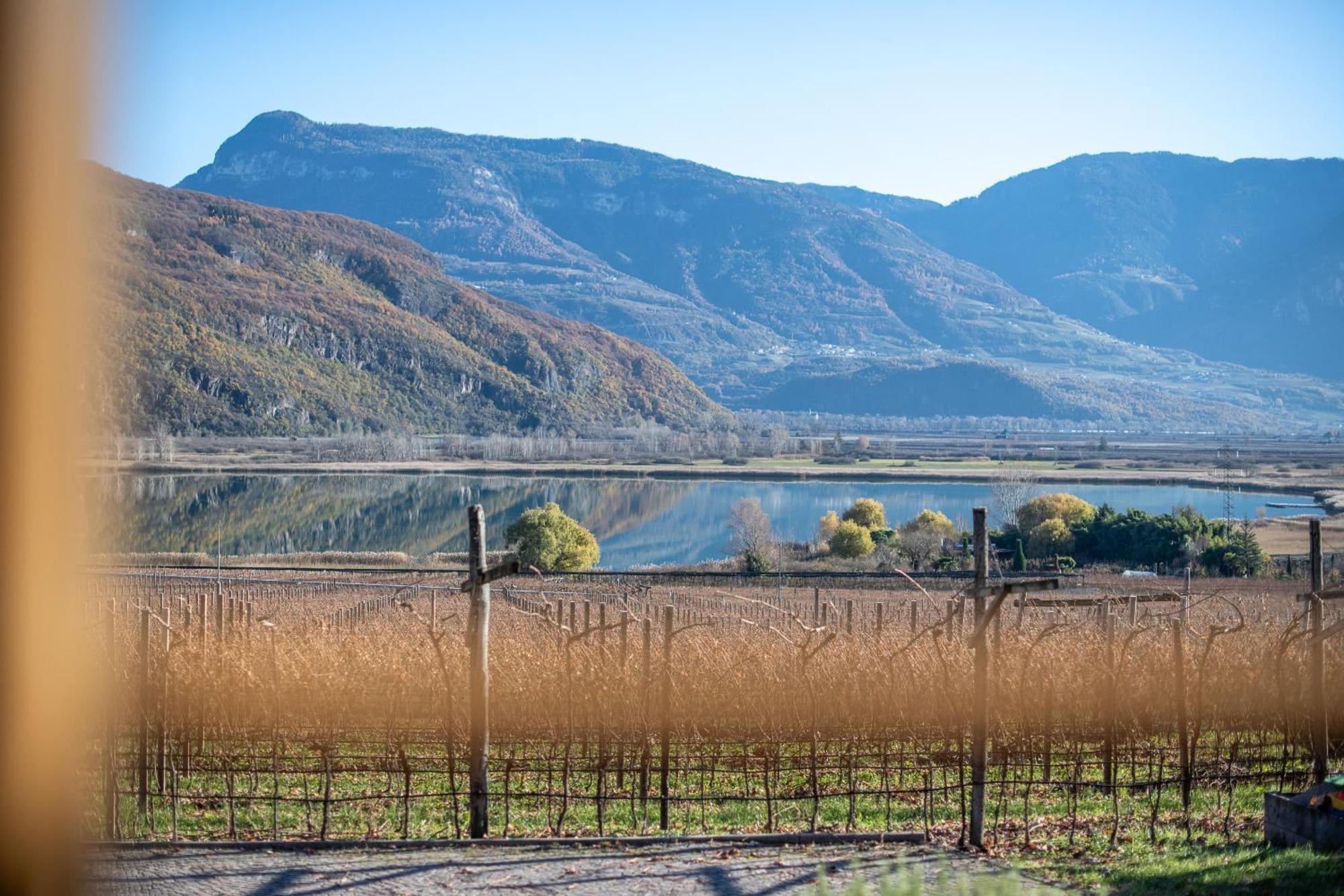 Weinhof Am See Caldaro Exteriör bild
